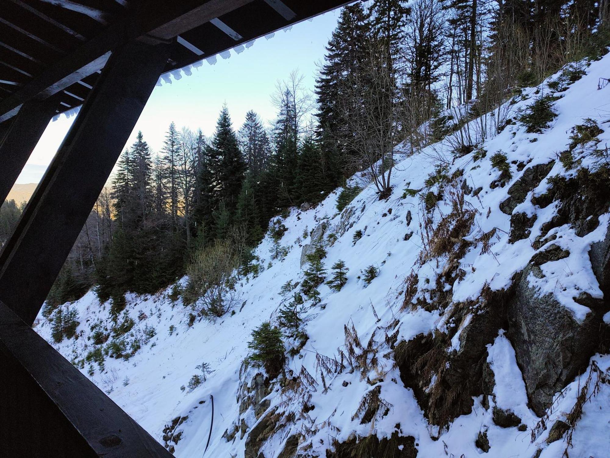 Arendo Ski Апартамент В Grand Monastery Pamporovo Dış mekan fotoğraf